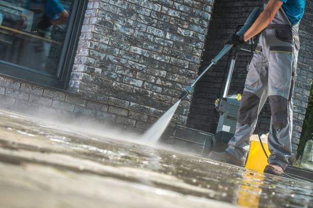 Best House Exterior Washing  in Mapleton, IA
