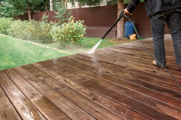 Best Sidewalk and Walkway Cleaning  in Mapleton, IA