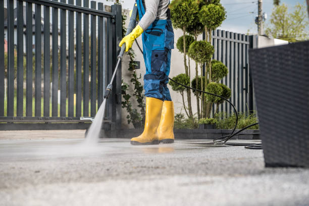 Animal Enclosure Cleaning in Mapleton, IA
